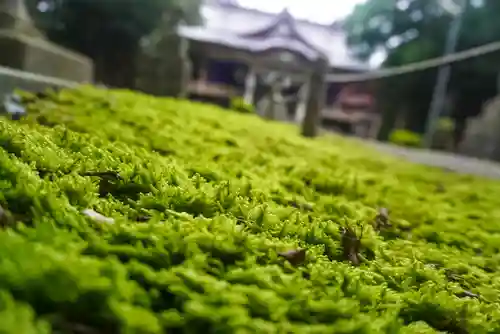 尻岸内八幡神社の自然
