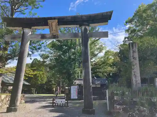 闘鶏神社(和歌山県)