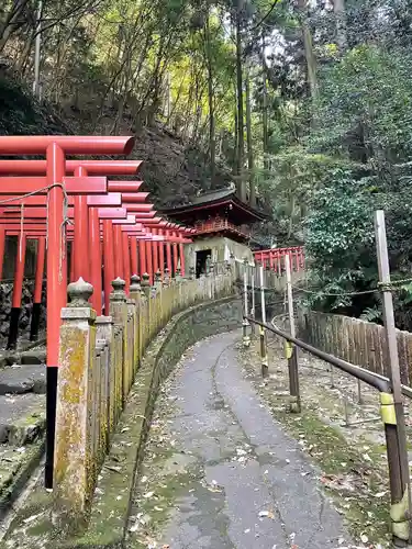 狸谷山不動院の鳥居