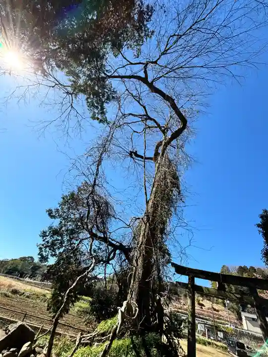 瀧川神社(静岡県)