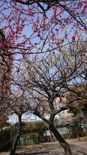 町田天満宮の自然