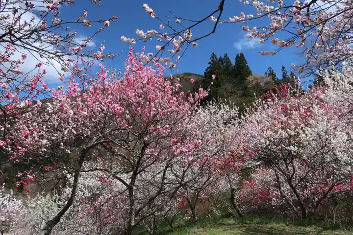 東円寺(岐阜県)
