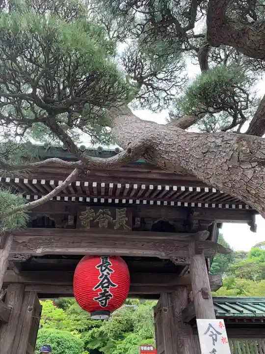 長谷寺の山門・神門