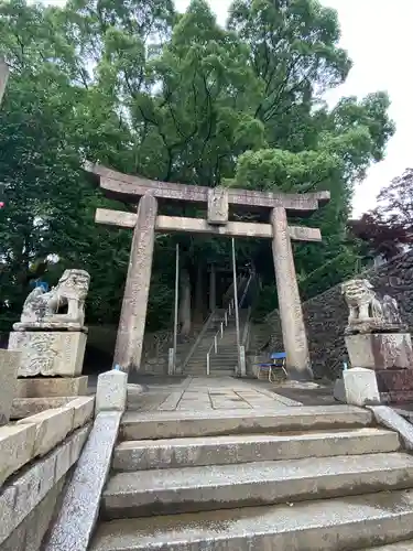 枝光八幡宮の鳥居