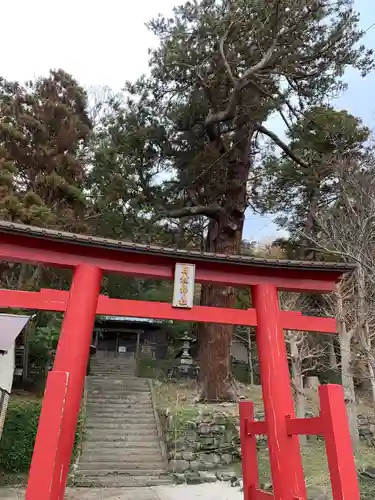 日枝神社の鳥居