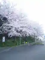 足高神社の自然