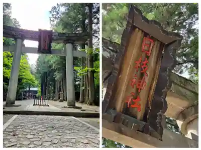 日枝神社(岐阜県)