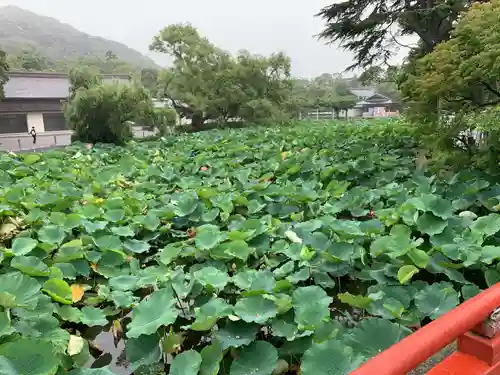 鶴岡八幡宮の庭園