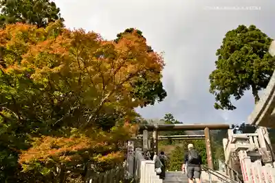 大山阿夫利神社のその他建物