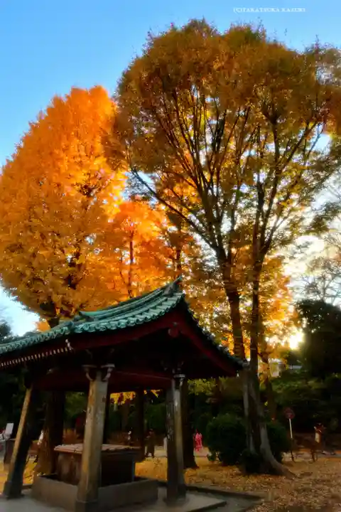 根津神社(東京都)