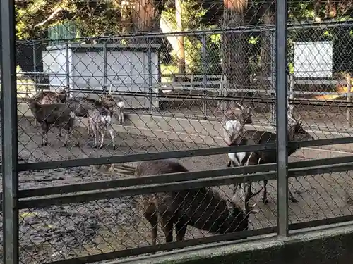 鹿島神宮(茨城県)