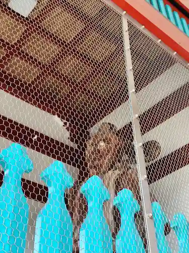 井戸寺(徳島県)