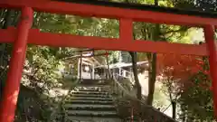 二葉姫稲荷神社の鳥居