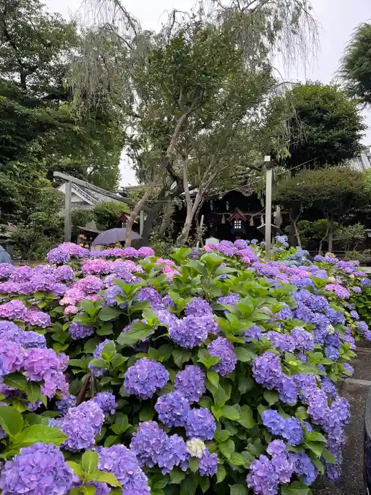 白山神社の自然