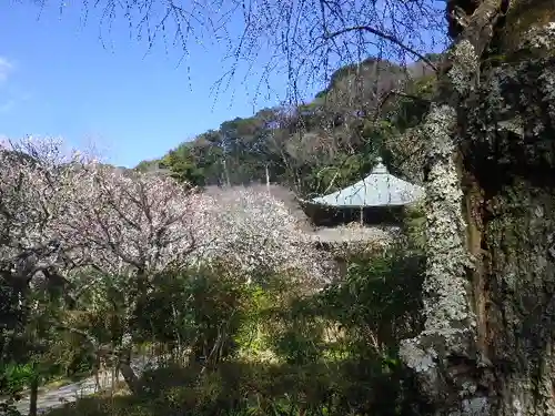 瑞泉寺の庭園