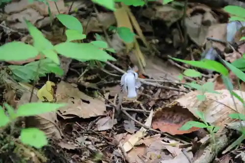 鹿島大神宮の自然
