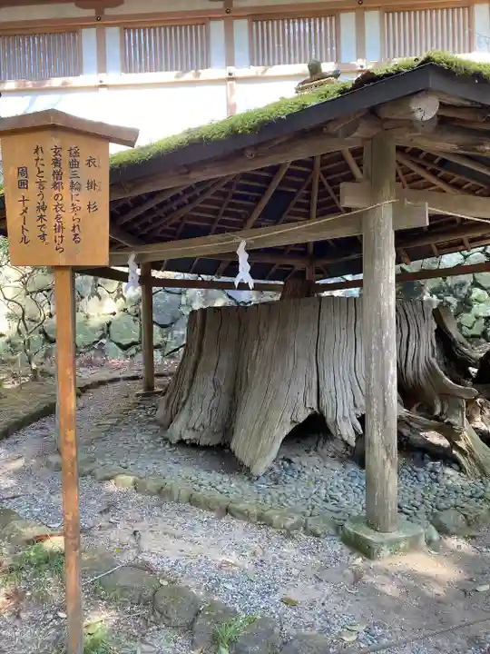大神神社(奈良県)
