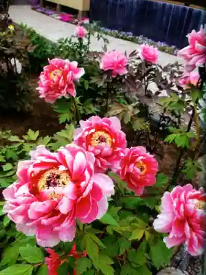 禅定院(東京都)