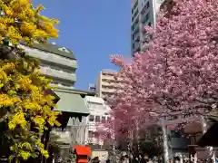 蔵前神社の建物その他