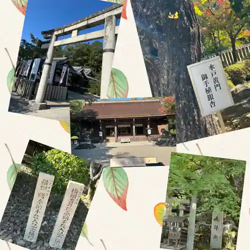多田神社(兵庫県)