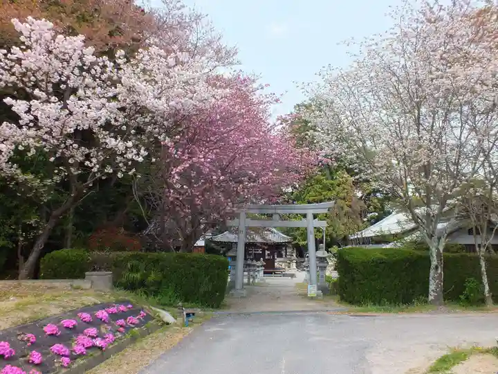立志神社の鳥居