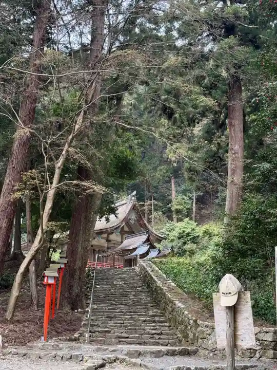 日吉大社の{uncategorized: "未分類", other: "その他", undefined: "問題あり", building: "その他建物", grave: "お墓", sacred_gate: "鳥居", guardian: "狛犬", statue: "像", buddha: "仏像", history: "歴史", nature: "自然", garden: "庭園", animal: "動物", pagoda: "塔", temizu: "手水舎", mountain_gate: "山門・神門", sanctuary: "本殿・本堂", subordinate: "末社・摂社", art: "芸術", scenery: "景色", jizo: "地蔵", ema: "絵馬", goshuin: "御朱印", omikuji: "おみくじ", items: "授与品その他", amulet: "お守り", goshuincho: "御朱印帳", eats: "食事", festival: "お祭り", votive_dance: "神楽", shichigosan: "七五三参", wedding: "結婚式", experience: "体験その他", initially: "初詣", around: "周辺", anti_infection: "感染症対策"}