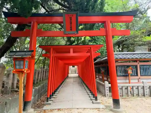 服部住吉神社の{uncategorized: "未分類", other: "その他", undefined: "問題あり", building: "その他建物", grave: "お墓", sacred_gate: "鳥居", guardian: "狛犬", statue: "像", buddha: "仏像", history: "歴史", nature: "自然", garden: "庭園", animal: "動物", pagoda: "塔", temizu: "手水舎", mountain_gate: "山門・神門", sanctuary: "本殿・本堂", subordinate: "末社・摂社", art: "芸術", scenery: "景色", jizo: "地蔵", ema: "絵馬", goshuin: "御朱印", omikuji: "おみくじ", items: "授与品その他", amulet: "お守り", goshuincho: "御朱印帳", eats: "食事", festival: "お祭り", votive_dance: "神楽", shichigosan: "七五三参", wedding: "結婚式", experience: "体験その他", initially: "初詣", around: "周辺", anti_infection: "感染症対策"}