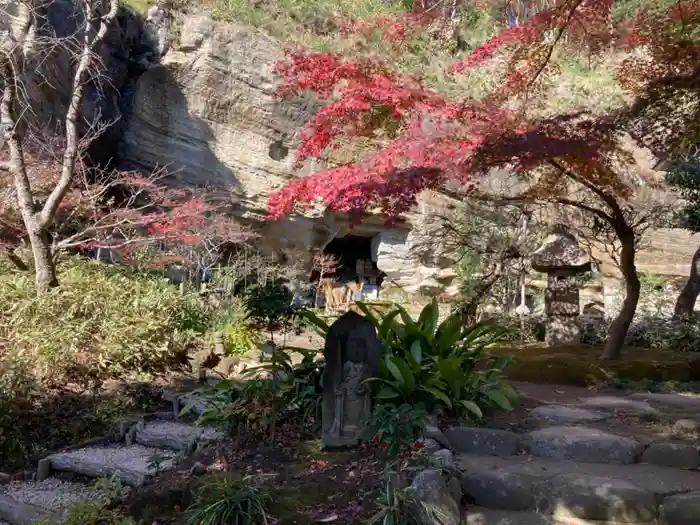 龍隠庵の建物その他