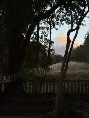 山宮浅間神社の{uncategorized: "未分類", other: "その他", undefined: "問題あり", building: "その他建物", grave: "お墓", sacred_gate: "鳥居", guardian: "狛犬", statue: "像", buddha: "仏像", history: "歴史", nature: "自然", garden: "庭園", animal: "動物", pagoda: "塔", temizu: "手水舎", mountain_gate: "山門・神門", sanctuary: "本殿・本堂", subordinate: "末社・摂社", art: "芸術", scenery: "景色", jizo: "地蔵", ema: "絵馬", goshuin: "御朱印", omikuji: "おみくじ", items: "授与品その他", amulet: "お守り", goshuincho: "御朱印帳", eats: "食事", festival: "お祭り", votive_dance: "神楽", shichigosan: "七五三参", wedding: "結婚式", experience: "体験その他", initially: "初詣", around: "周辺", anti_infection: "感染症対策"}