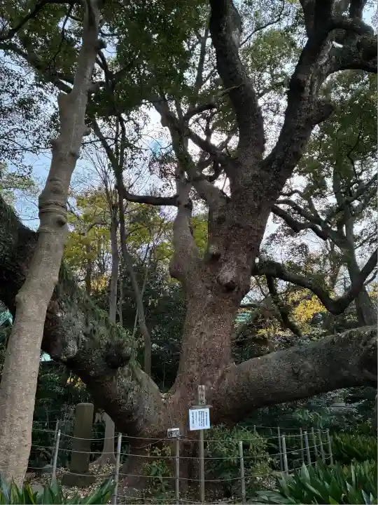 矢倉神社(静岡県)