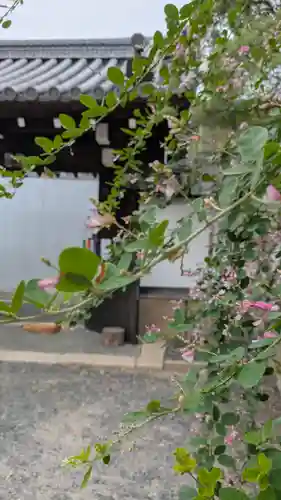 良正院(京都府)