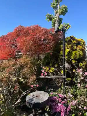 少林寺(埼玉県)