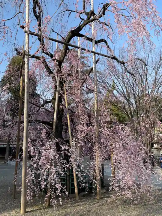 大國魂神社(東京都)