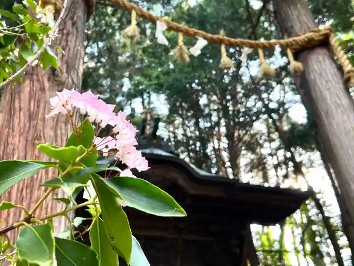 足長神社(長野県)