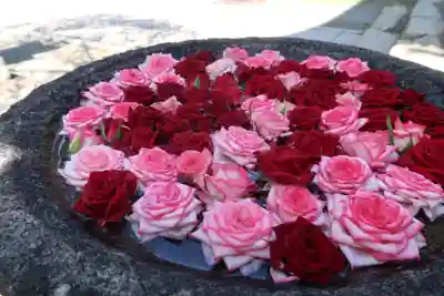 丹生都比売神社の手水舎
