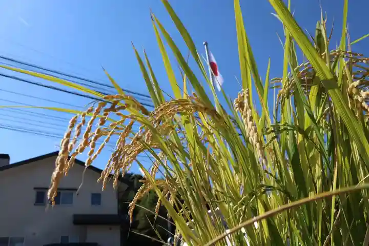 大鏑神社の庭園