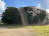 正恩寺(京都府)