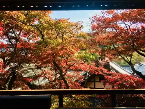 柳谷観音　楊谷寺の自然