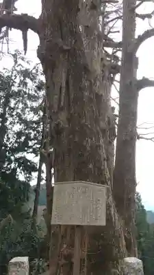 高山不動尊常楽院(埼玉県)