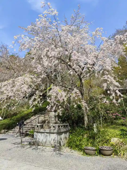 三千院門跡(京都府)