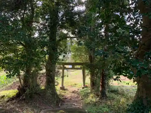 八坂神社の鳥居