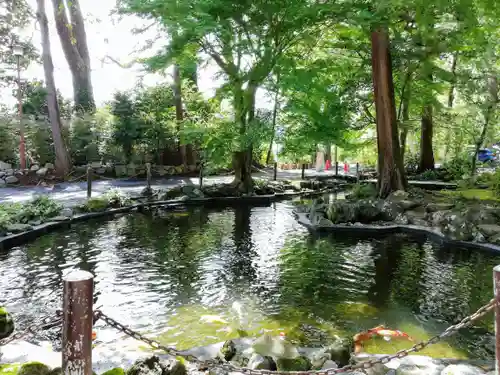 伊豆山神社の庭園