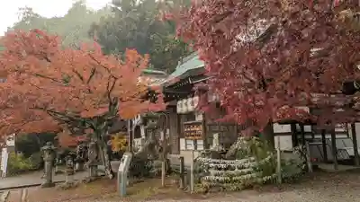 若山神社(大阪府)