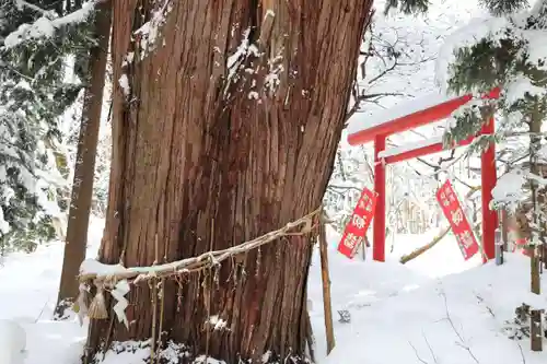 磐椅神社の鳥居