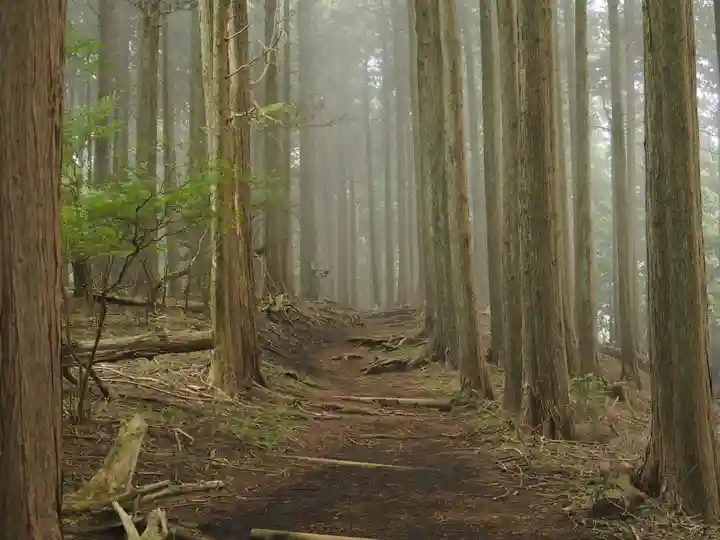 大山寺(神奈川県)