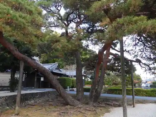 臨済寺(静岡県)