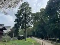 出雲伊波比神社(埼玉県)