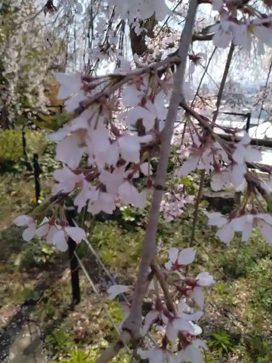 千手院(島根県)
