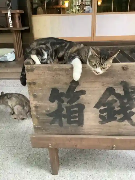 玉野御嶽神社の動物