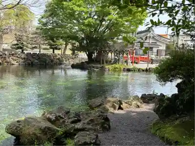 富士山本宮浅間大社(静岡県)